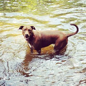 Meet your Posher, Benay